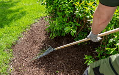 LANDSCAPE MAINTENANCE